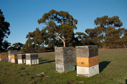 Fine Flavours - Full Day Kangaroo Island Food & Wine Tour - Tourism Brisbane 1