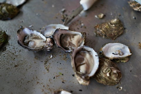 Fine Flavours - Full Day Kangaroo Island Food & Wine Tour - Tourism Brisbane 2