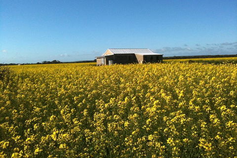Fine Flavours - Full Day Kangaroo Island Food & Wine Tour - Tourism Brisbane 3