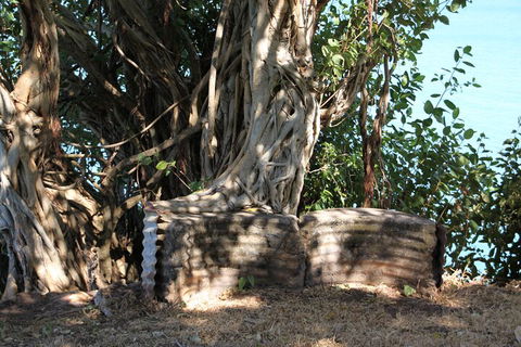 Darwin Walking Tour: World War II Reflections - Tourism Brisbane 3