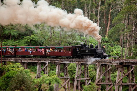 Melbourne Combo: Great Ocean Road, Puffing Billy, Moonlit Sanctuary & Penguins - Tourism Brisbane 1
