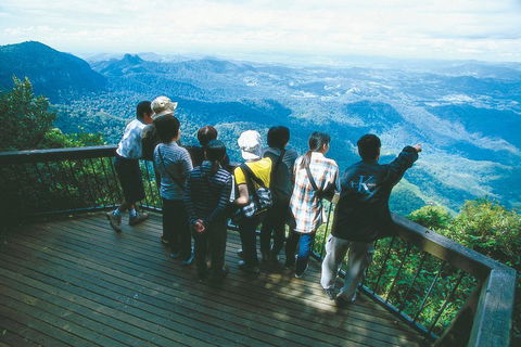 Springbrook National Park & Gold Coast Full Day Luxury Tour From Brisbane - Tourism Brisbane 0