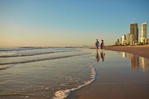 Springbrook National Park & Gold Coast Full Day Luxury Tour From Brisbane - Tourism Brisbane 1
