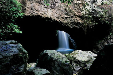 Springbrook National Park & Gold Coast Full Day Luxury Tour From Brisbane - Tourism Brisbane 2