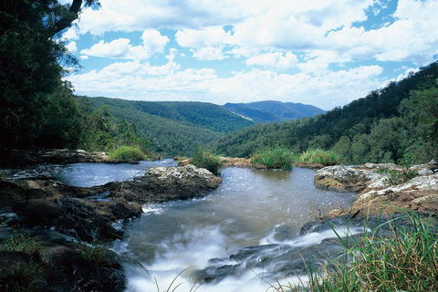 Springbrook National Park & Gold Coast Full Day Luxury Tour From Brisbane - Tourism Brisbane 3