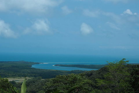 Cape Tribulation, Daintree Rainforest And Wildlife Tour - Tourism Brisbane 1