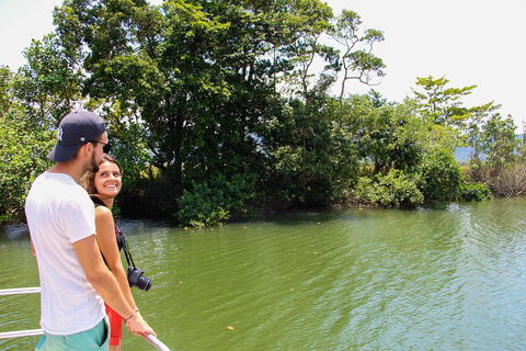 Cape Tribulation, Daintree Rainforest And Wildlife Tour - Tourism Brisbane 2