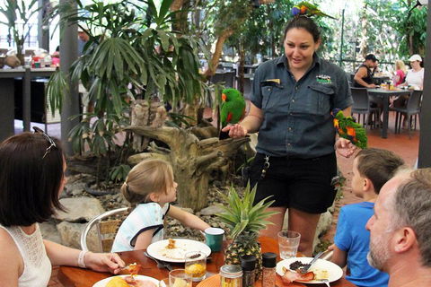 Wildlife Habitat Port Douglas - Brisbane Tourism 2