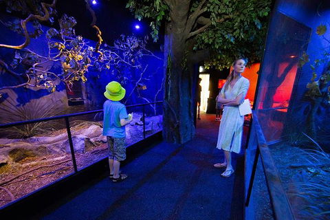 Wildlife Habitat Port Douglas - Brisbane Tourism 4