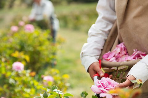 3 Days Adelaide Hills Wellness Escape - Tourism Brisbane 3