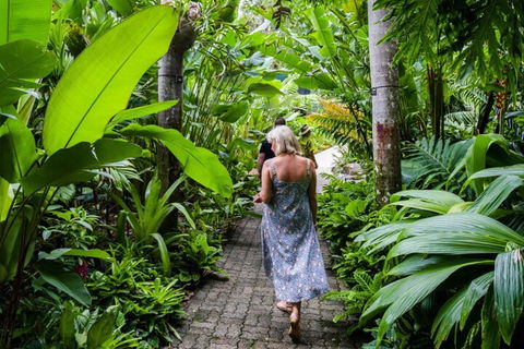 Cairns City Sights And Surrounds Tour - Tourism Brisbane 2