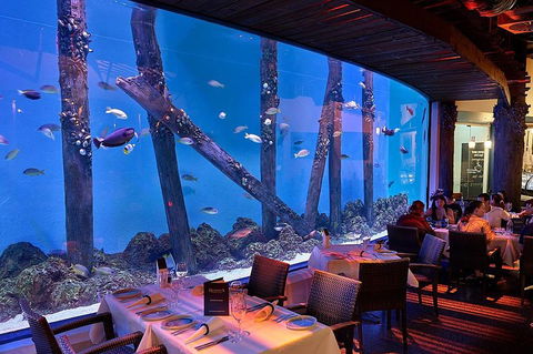 Cairns Aquarium And Small Group City Sightseeing Tour - Brisbane 4u 4