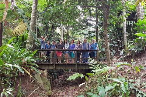 Cairns Shore Excursion: Cairns City Sights & Surrounds Tour - Tourism Brisbane 1