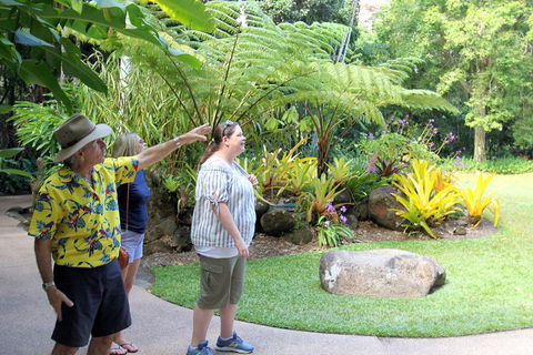 Cairns Shore Excursion: Cairns City Sights & Surrounds Tour - Tourism Brisbane 4