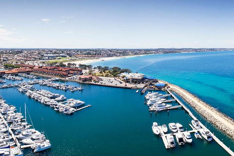 Snorkel With Sharks At AQWA - Tourism Brisbane 3
