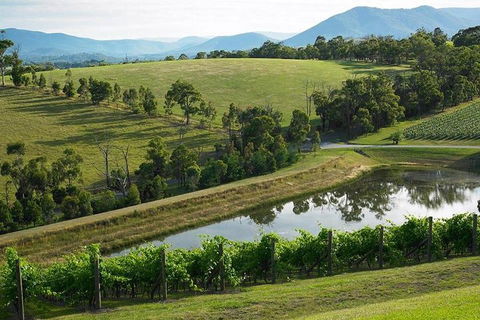 CHEVY CONVERTIBLE Package For 2 People- Wine Lunch Cheese & Chocolate From Melb. - Brisbane Tourism 0