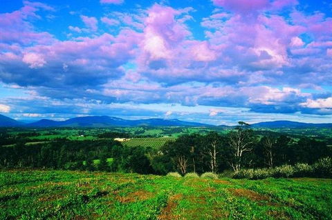 CHEVY CONVERTIBLE Package For 4 -Wine Lunch Cheese & Chocolate From Yarra Valley - Tourism Brisbane 4