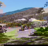 Yarra Valley Wine and Cider Tours by Classic Convertibles from Melbourne - Tourism Brisbane