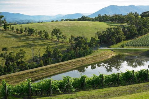 Yarra Valley Wine And Cider Tours By Classic Convertibles From Melbourne - Tourism Brisbane 1