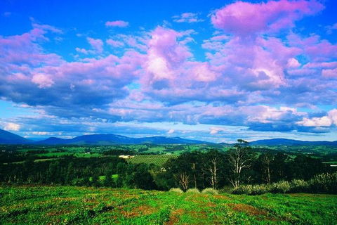 Yarra Valley Wine And Cider Tours By Classic Convertibles From Melbourne - Tourism Brisbane 3