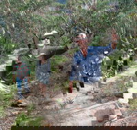 Small-Group Blue Mountains Tour with Bush Walks and Featherdale Wildlife Park - Tourism Brisbane