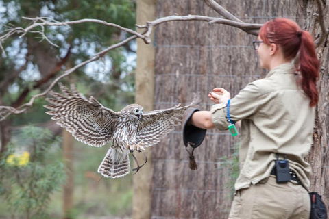 Moonlit Sanctuary Wildlife Conservation Park Daytime General Entry Ticket - Tourism Brisbane 1
