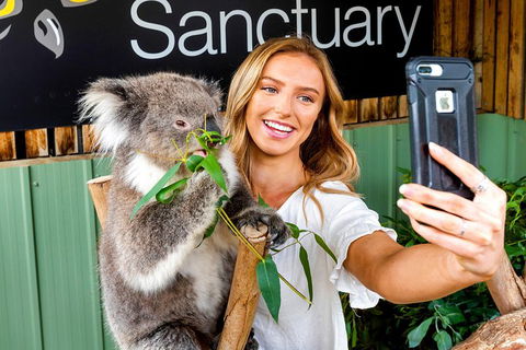 Moonlit Sanctuary Wildlife Conservation Park Daytime General Entry Ticket - Tourism Brisbane 4