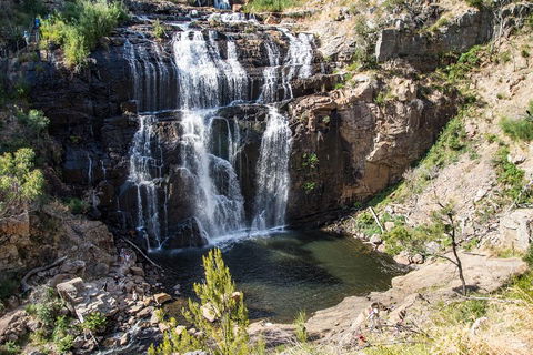 Great Ocean Road Grampians 3 Day National Park Tour Melbourne Roundtrip - Tourism Brisbane 2