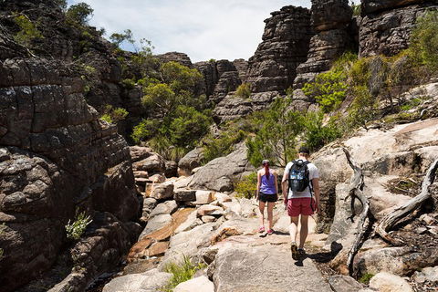 3-Day Melbourne To Adelaide Small-Group Tour Via Great Ocean Road Grampians - Tourism Brisbane 2
