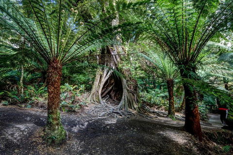 Adelaide To Melbourne 3-Day Trip Through Grampians And Great Ocean Road - Tourism Brisbane 0
