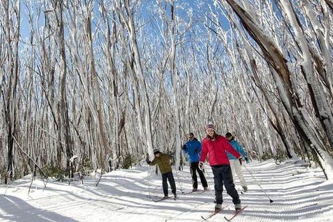 Melbourne Snow Trip To Lake Mountain With Chocolates Visit To A Waterfall - Tourism Brisbane 5