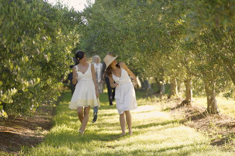 Yarra Valley Wine Tour With Local Harvest Tastings From Melbourne - Brisbane Tourism 0