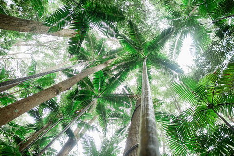 Fraser Explorer K'gari 2-Day Tour - Tourism Brisbane 2