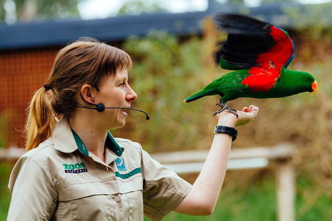 VIP Sanctuary Tour At Healesville Sanctuary Ticket - Tourism Brisbane 0