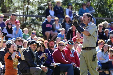 VIP Sanctuary Tour At Healesville Sanctuary Ticket - Tourism Brisbane 4