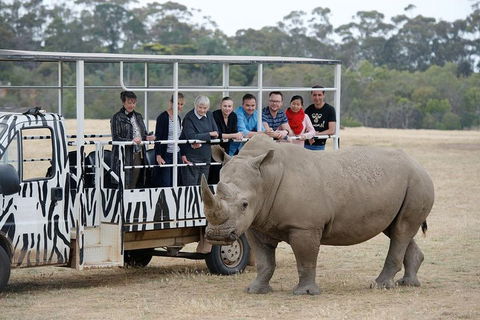 Off-Road Safari At Werribee Open Range Zoo - Tourism Brisbane 0