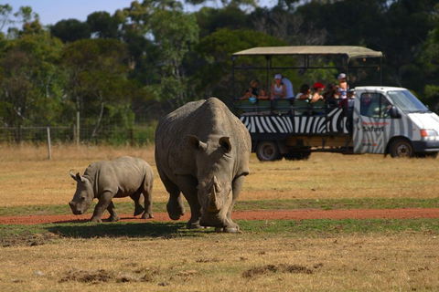 Off-Road Safari At Werribee Open Range Zoo - Tourism Brisbane 5