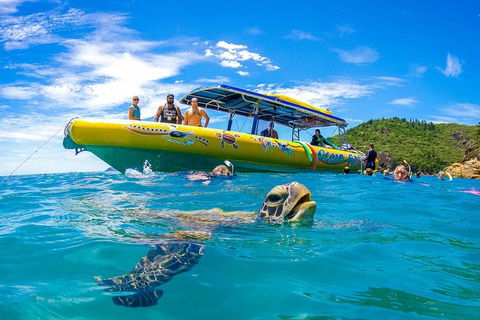 Great Barrier Reef Scenic Flight And Ocean Rafting Whitehaven Beach Day Trip - Tourism Brisbane 1