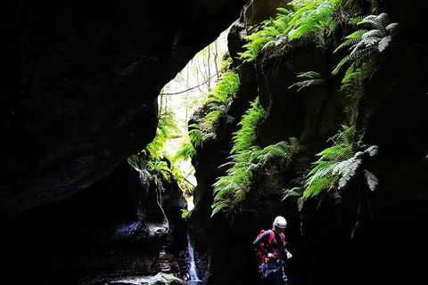 Full-Day Canyoning Experience At Stunning Empress Canyon - Tourism Brisbane 2