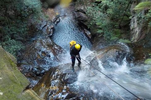 Full-Day Canyoning Experience At Stunning Empress Canyon - Tourism Brisbane 4