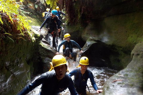 Full-Day Canyoning Experience At Stunning Empress Canyon - Tourism Brisbane 5
