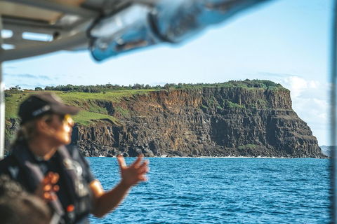 Cruise With Dolphins In Byron Bay - Tourism Brisbane 4