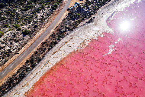 7-Day Exmouth Explorer Via Pinnacles Monkey Mia Ningaloo Reef Returning To Perth - Tourism Brisbane 0