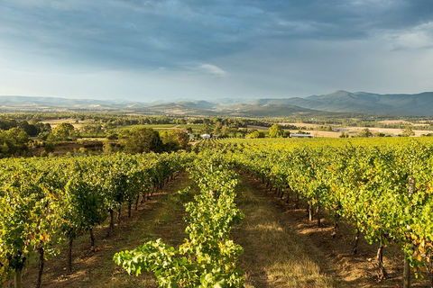 Yarra Valley Local Produce And Wine Tasting Tour - Tourism Brisbane 3