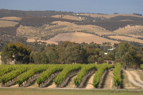McLaren Vale And Glenelg Wine Tasting And Sightseeing (Half-day Afternoon) - Tourism Brisbane 2