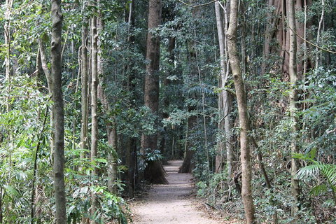 Eumundi Markets And Sunshine Coast Day Trip From Brisbane - Tourism Brisbane 4