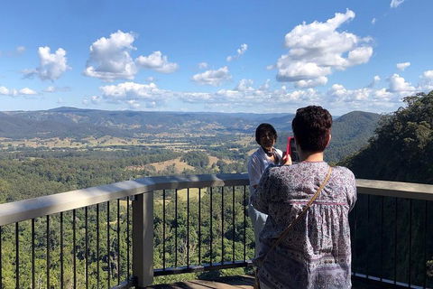 Sunshine Coast Private Scenic Guided Tour Inc. 2-Course Gourmet Lunch - Tourism Brisbane 4