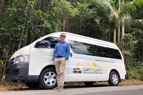Sunshine Coast Hinterland Rainforest, Views And Montville Day Tour Inc. Lunch - Tourism Brisbane 1