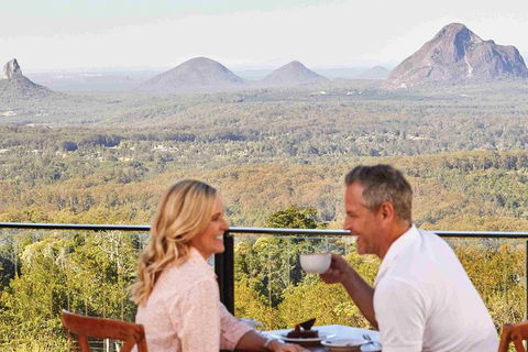 Sunshine Coast Hinterland Rainforest, Views And Montville Day Tour Inc. Lunch - Tourism Brisbane 2
