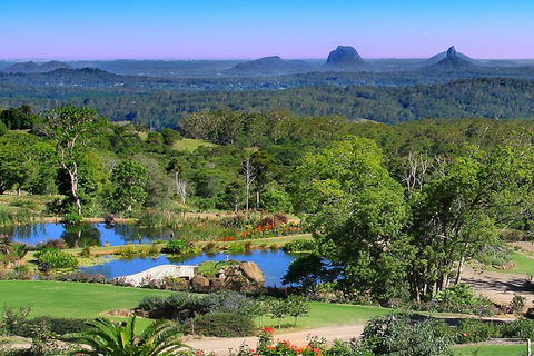 Sunshine Coast Hinterland Rainforest, Views And Montville Day Tour Inc. Lunch - Tourism Brisbane 5